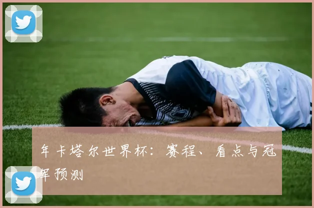 年卡塔尔世界杯：赛程、看点与冠军预测